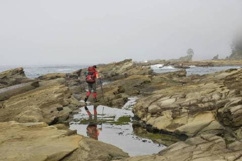 Rear view of single female backpacker hiking along rocky coastline, West Coast Trail, Pacific Rim National Park on Vancouver Island, British Columbia, Canada, West Coast Trail British Columbia Canada RADA000042 model released Symbolfoto Copyright: DanxRafla RADA000042