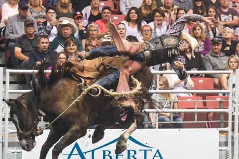 July 23, 2018 - Edmonton, Alberta, Canada - Saddle bronc rider Justin Berg from Camrose, AB, in action during the K-Days Rodeo in Edmonton..On Sunday, July 22, 2018, in Edmonton, Alberta, Canada. Edmonton Canada  - ZUMAn230 20180723_zaa_n230_480 Copyright: xArturxWidakx