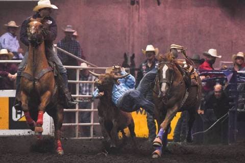 July 23, 2018 - Edmonton, Alberta, Canada - A steer wrestler in action during the K-Days Rodeo in Edmonton..On Sunday, July 22, 2018, in Edmonton, Alberta, Canada. Edmonton Canada  - ZUMAn230 20180723_zaa_n230_486 Copyright: xArturxWidakx