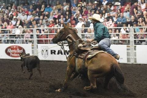 July 23, 2018 - Edmonton, Alberta, Canada - Tie-down roper Josh Eirikson from Pincher Creek, AB, in action during the K-Days Rodeo in Edmonton..On Sunday, July 22, 2018, in Edmonton, Alberta, Canada. Edmonton Canada  - ZUMAn230 20180723_zaa_n230_507 Copyright: xArturxWidakx