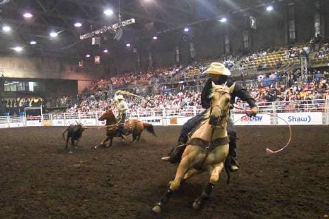 July 23, 2018 - Edmonton, Alberta, Canada - Cowboys in action during a Team Roping competion at the K-Days Rodeo in Edmonton..On Sunday, July 22, 2018, in Edmonton, Alberta, Canada. Edmonton Canada  - ZUMAn230 20180723_zaa_n230_508 Copyright: xArturxWidakx