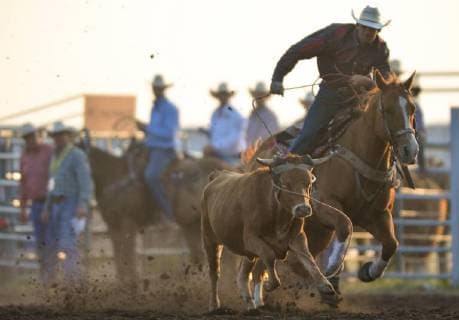 July 28, 2018 - Bonnyville, Canada - Logan Bird and Stacy Cornet during the Team Roping competion on the opening day of Bonnyville Pro Rodeo 2018..On Friday, July 27, 2018, in Bonnyville, Alberta, Canada. Bonnyville Canada  - ZUMAn230 20180728_zaa_n230_042 Copyright: xArturxWidakx