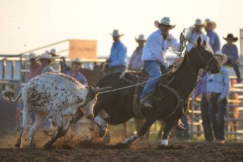 July 28, 2018 - Bonnyville, Canada - Brady Chapel and Riley Roy during the Team Roping competion on the opening day of Bonnyville Pro Rodeo 2018..On Friday, July 27, 2018, in Bonnyville, Alberta, Canada. Bonnyville Canada  - ZUMAn230 20180728_zaa_n230_072 Copyright: xArturxWidakx