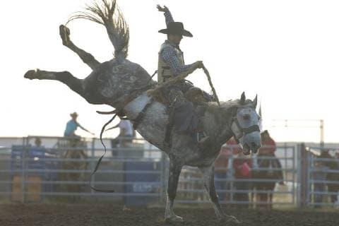 July 28, 2018 - Bonnyville, Canada - Saddle bronc rider, Lane Watt from Hardisty, AB, in action during the opening day of Bonnyville Pro Rodeo 2018..On Friday, July 27, 2018, in Bonnyville, Alberta, Canada. Bonnyville Canada - ZUMAn230 20180728_zaa_n230_078 Copyright: xArturxWidakx