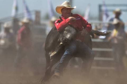 July 28, 2018 - Bonnyville, Alberta, Canada - Steer wrestler, Curtis Cassidy from Donalda, AB, in action during the second day of Bonnyville Pro Rodeo..On Saturday, July 28, 2018, in Bonnyville, Alberta, Canada. Bonnyville Canada - ZUMAn230 20180728_zaa_n230_608 Copyright: xArturxWidakx