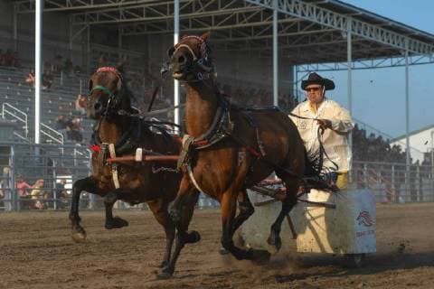 July 29, 2018 - Bonnyville, Alberta, Canada - Chariot racer in action on the second day of Bonnyville Pro Rodeo..On Saturday, July 28, 2018, in Bonnyville, Alberta, Canada. Bonnyville Canada  - ZUMAn230 20180729_zaa_n230_070 Copyright: xArturxWidakx