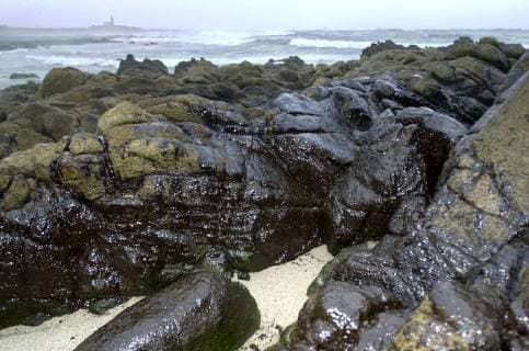 BRU03 - - MURO, SPAIN : The Spanish coast tainted by oil after the Prestige disaster, Wednesday 25 December 2002, near Muro in Spain. OLIVIERxHOSLET  x1131285x