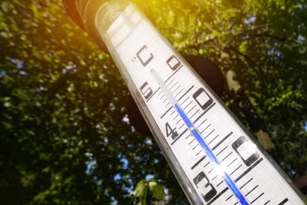 Thermometer in the garden shows 45Ã‚ Â° C in the sun of the summer of summer 2018 ** NUR FUER REDAKTIONELLE ZWECKE ** EDITORIAL USE ONLY **