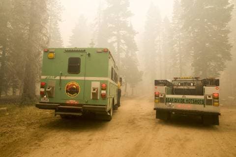 News Bilder des Tages August 6, 2018 - Dardnelle, California, U.S.A - The Bear Divide HotShot crew works their way into Camp Liahona Monday morning Aug. 6, 2018. The Donnell Fire in Tuolumne County has grown to 11,074 Acres according to the U.S. Forest Service. Dardnelle U.S.A - ZUMAbk2_ 20180806_zaf_bk2_001 Copyright: xMartyxBicekx