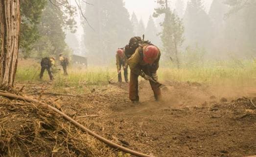 August 6, 2018 - Dardnelle, California, U.S.A - A U.S. Forest Service, Stanislaus HotShots crew creates a fire break in Camp Jack Hazard Monday, Aug. 6 2018 as they l prepare to light back fires to give the camp a safety zone as the Donnell Fire approaches. The Donnell Fire in Tuolumne County has grown to 11,074 Acres according to the U.S. Forest Service. Dardnelle U.S.A - ZUMAbk2_ 20180806_zaf_bk2_014 Copyright: xMartyxBicekx