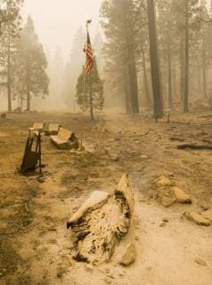 August 6, 2018 - Dardnelle, California, U.S.A - Not much around the Daranelles Resort was was still standing but this American flag was one of them Monday, Aug 6, 2018. The Donnell Fire in Tuolumne County has grown to 11,074 Acres according to the U.S. Forest Service. Dardnelle U.S.A - ZUMAbk2_ 20180806_zaf_bk2_008 Copyright: xMartyxBicekx