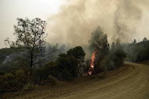 August 6, 2018 - Ukiah, California, USA - Ukiah, California, U.S. - Small host spots continued to burn all along the southeastern edge of the Ranch FireÃ¢â‚¬part of the Mendocino ComplexÃ¢â‚¬burning in Lake and Mendocino Counties. As of Monday the fire fire has become the largest fire recorded in California at more than 233,000 acres. Ukiah USA - ZUMAw332 20180806_zap_w332_015 Copyright: xNealxWatersx