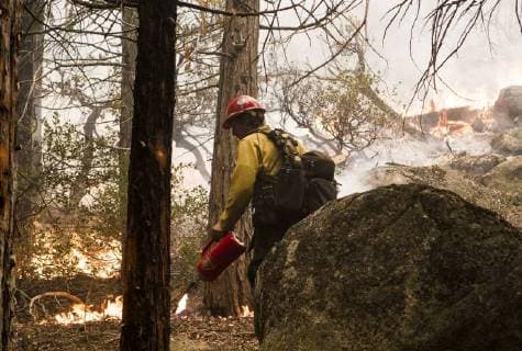 August 7, 2018 - Dardanelle, California, U.S.A - A U.S. Forest Service, Stanislaus HotShot, starts a back fire to fight with structure protection around property along Highway 108. With limited resources firefighters a battling fire with fire to try and protect property. The Donnell Fire in Tuolumne County has increased to 11,344 acres according to the U.S. Forest Service with 2 percent containment. With the lack of resources the fire continues to grow. Dardanelle U.S.A - ZUMAbk2_ 20180807_zaf_bk2_008 Copyright: xMartyxBicekx