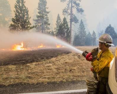 August 7, 2018 - Dardanelle, California, U.S.A - A HotShot firefighter tries to knock down a fire along Highway 108 as the Donnell Fire Continues to grow. The Donnell Fire in Tuolumne County has increased to 11,344 acres according to the U.S. Forest Service with 2 percent containment. With the lack of resources the fire continues to grow. Dardanelle U.S. - ZUMAbk2_ 20180807_zaf_bk2_003 Copyright: xMartyxBicekx