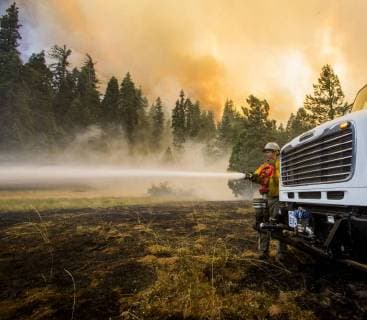 News Bilder des Tages August 7, 2018 - Dardanelle, California, U.S. - A HotShot firefighter tries to knock down a fire along Highway 108 as the Donnell Fire Continues to grow. The Donnell Fire in Tuolumne County has increased to 11,344 acres according to the U.S. Forest Service with 2 percent containment. With the lack of resources the fire continues to grow. Dardanelle U.S. - ZUMAbk2_ 20180807_zaf_bk2_004 Copyright: xMartyxBicekx