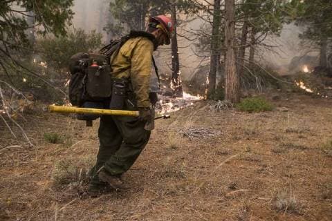 August 7, 2018 - Dardanelle, California, U.S.A - A U.S. Forest Service, Stanislaus HotShot, starts a back fire to fight with structure protection around property along Highway 108. The Donnell Fire in Tuolumne County has increased to 11,344 acres according to the U.S. Forest Service with 2 percent containment. With the lack of resources the fire continues to grow. Dardanelle U.S. - ZUMAbk2_ 20180807_zaf_bk2_006 Copyright: xMartyxBicekx