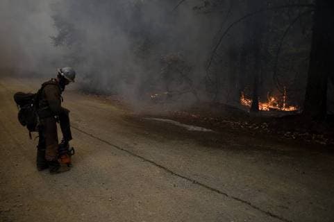 August 7, 2018 - Ukiah, California, USA - Ukiah, California, U.S. - A US Forest Service sawyer from the Smith River Hotshots watches the back fire his team set as it burns the fuel in a slow and controlled manner between the Ranch fire s active front and the fire break they constructed along the fire s northern edge. Ukiah USA - ZUMAw332 20180807_zap_w332_002 Copyright: xNealxWatersx