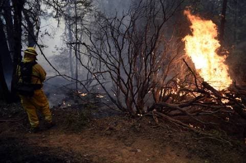 August 7, 2018 - Ukiah, California, USA - Ukiah, California, U.S. - A Rancho Adobe Fire District fire fighter makes sure the back fire does not grow too fast by occasionally cooling it down with water. The object is to slow the fire so it consumes all the fuel between the fire line and the active fire front. Ukiah USA - ZUMAw332 20180807_zap_w332_005 Copyright: xNealxWatersx