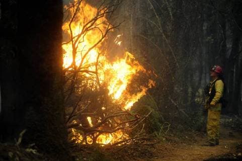 August 7, 2018 - Ukiah, California, U.S. - A Rancho Adobe Fire District fire captain watches the back fire to make sure it does not grow too hot or too fast. Ukiah U.S. - ZUMAw332 20180807_zap_w332_006 Copyright: xNealxWatersx
