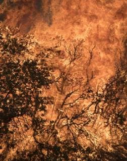 Fire burns through the brush in Colusa County, California on August 7, 2018. The Mendocino Complex fire has become the largest in the state s history.  SXP2018080718 TERRYxSCHMITT