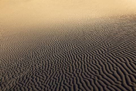 Structures in the sand Dunes of Maspalomas Dunas de Maspalomas structures in the sand Nature reserve Gran Canaria Canary Islands Spain Europe Copyright: imageBROKER/HarryxLaub ibxhal04727859.jpg