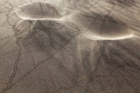 Animal tracks Beetle tracks in the sand Dunes of Maspalomas Dunas de Maspalomas structures in the sand Gran Canaria nature reserve Canary Islands Spain Europe Copyright: imageBROKER/HarryxLaub ibxhal04727860.jpg