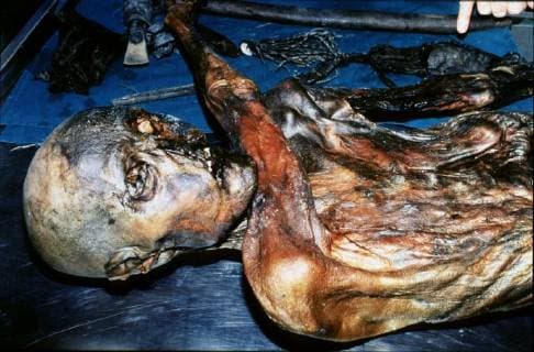 Fund der Ötzi Mumie - 30. Jahrestag am 19. September 26 september 1991, a 4000 years old mummi was found in the Austrian gletscher of the niederjochferner montain( otztal).Similaun-man(named after the gletscher) had clothes made out of leather and an axe of bronze and wore a cylindre with 14 arrows.the body was treated by professor Konrad Spindler and his team to preserve it and fight fungusses outbreak.  x235881x