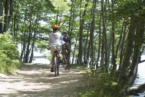 Cyclists riding through woods, rear view  Copyright: FrédéricxCirou B05162210