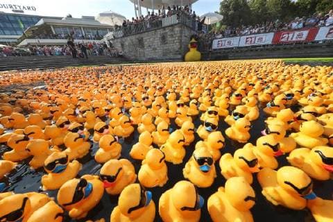 News Themen der Woche KW33 News Bilder des Tages Hannover, Maschseefest, Es ist Hannovers größtes Charity-Event: das Entenrennen vom Norddeutschen Knochenmark- und Stammzellspender-Register (NKR) zum Maschseefest. 5000 Enten waren am Start, *** Hanover Maschseefest It is Hanovers largest charity event the duck race of the North German marrow and stem cell donor register NKR for Maschseefest 5000 ducks were at the start