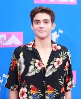 Joshua Bassett arrives on the red carpet at the 35th annual MTV Video Music Awards at Radio City Music Hall in New York City on August 20, 2018.  NYP20180820364 SERENAxXU-NING