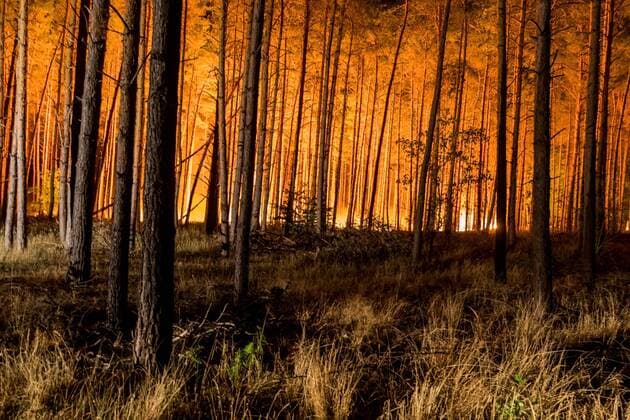 News Themen der Woche KW34 News Bilder des Tages 24.08.2018, Brandenburg, Deutschland, GER - Großbrand in einem Wald in Brandenburg zwischen den OrtschaftenTreuenbrietzen und Jüterborg. Am Mittag ist das Feuer nahe der Ortschaft Treuenbrietzen ausgebrochen. Bis zum Abend breitete sich der Waldbrand auf eine Fläche von ca. 300 Hektar aus. Im Bild zu sehen ist ein kleider Teil der in Brand geratenen Fläche. . *** 24 08 2018 Brandenburg Germany GER Great fire in a forest in Brandenburg between the villages of Treuenbrietzen and Jüterborg At noon the fire near the village of Treuenbrietzen erupted Until the evening the forest fire spread to an area of u200b u200babout 300 hectares In the picture you can see a piece of clothing the burnt area