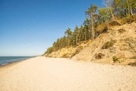 Baltic Sea beach in Poland near Orzechowo Baltic Sea in Poland with pines and dunes  1093510183