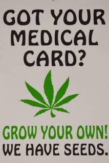 Kanada, am 17. Oktober beginnt der legale Verkauf von Cannabis August 29, 2018 - Edmonton, Alberta, Canada - Grown your own! sign seen in Buzzzz Tech Tobacco Shop in Edmonton...Alberta is poised to see cannabis as a major industry †an opportunity for economic diversification..Less then 8 weeks remain untill the legalization of recreational marijuana use in Canada. .July 2018 was the initial legalisation date, however, provinces and territories, who are responsible for drafting their own rules regarding marijuana sales, have asked for an additional 8 to 12 weeks after the Senate approval to transition to the new framework. .In Alberta, private retailers will sell cannabis to those wanting to purchase in-person with online sales that are government-operated. .On Wednesday, August 29, 2018, in Edmonton, Alberta, Canada. Edmonton Canada - ZUMAn230 20180829_zaa_n230_519 Copyright: xArturxWidakx