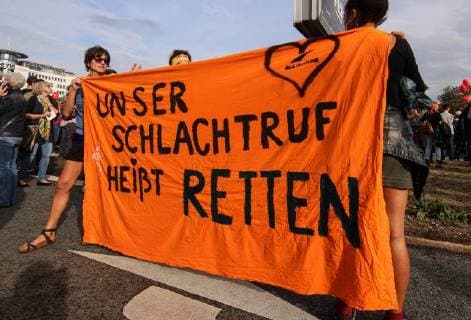 In the picture The concert We are more of in Chemnitz on 03 09 2018 Chemnitz Against right-wing violence We are more concert