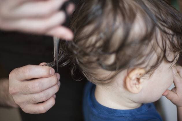 Toddler getting a haircut, cropped  Copyright: SandroxDixCarloxDarsa B00127617