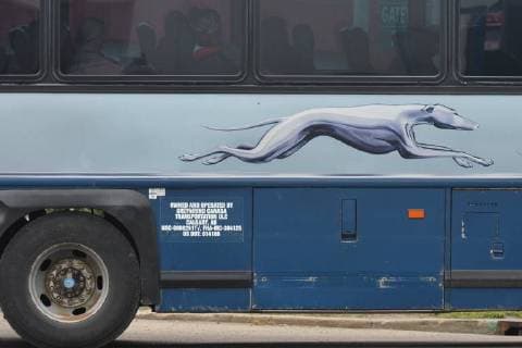 August 29, 2018 - Canada - A view of Greyhound bus company logo in South Edmonton Common, a retail power centre located in Edmonton, Alberta. .On Tuesday, September 11, 2018, in Edmonton, Alberta, Canada. Canada  - ZUMAn230 20180829_zaa_n230_587 Copyright: xArturxWidakx