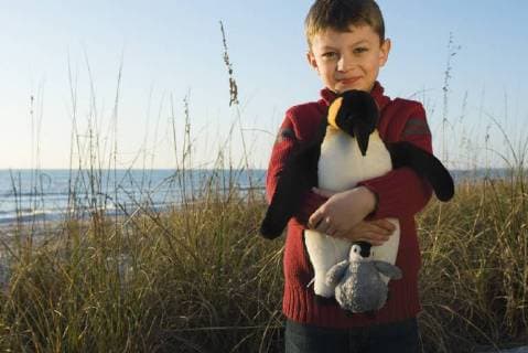 Boy outdoors holding stuffed toy penguin  Copyright: MichèlexConstantini B28698107