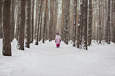 IMAGO Creative: Jahreszeit Winter, Spaziergang A young girl walking down a snow packed path in the forest  Copyright: VladimirxGodnik fStopImages1243021
