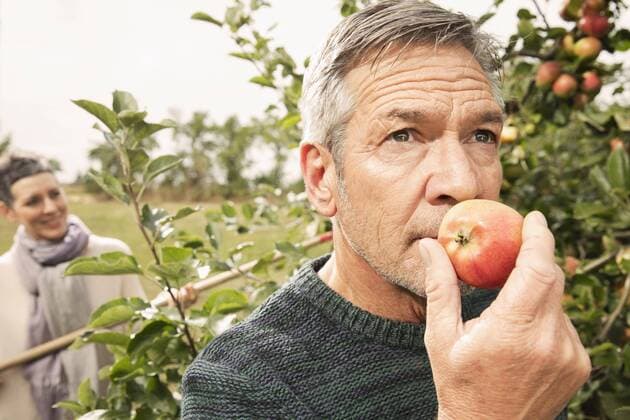 Man smelling fresh apple in orchard  Copyright: CarlxSmith fStopImages1579021