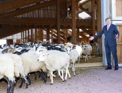 Entertainment Bilder der Woche KW39 Entertainment Bilder des Tages 27-09-2018 Bagerveen King Willem-Alexander during the opening of the new sheepfold, schaapskooi, in Bagerveen. Bagerveen is a 2.000 hectares nature reserve.  Copyright: xPPE NIEBOERx