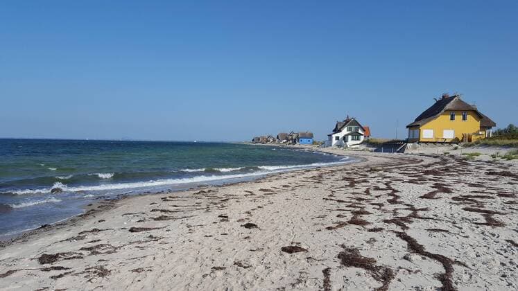 Feature Symbol Heiligenhafen 09 18 pp Beach houses near Heiligenhafen in September 2018 Germany german german german Schleswig Holstein Holidays Holidays Travel Lake Baltic Sea Sand beach beach chairs beach chairs dune dunes beach house cross