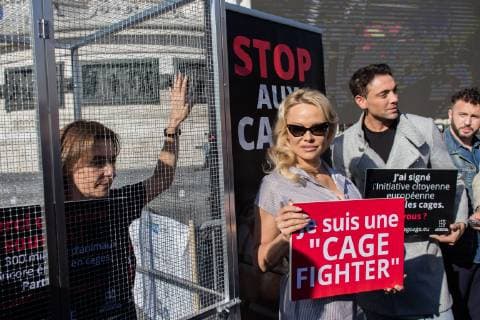Entertainment Bilder der Woche KW41 Entertainment Bilder des Tages Pamela Anderson and Maxime Dereymez during the Launch of a European Citizens Initiative for the end of cage farming in Europe with the participation of Compassion in world farming (CIWF) France, one of the 130 NGOs behind this initiative, Place de la République in Paris, on October 10th, 2018.  Copyright: xAurelienxMorissardx