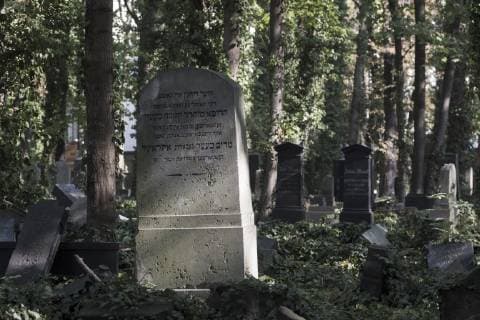 Jewish cemetery at Schönhauser Allee in Berlin Prenzlauer Berg Jewish cemetery in Berlin Prenzlauer Berg