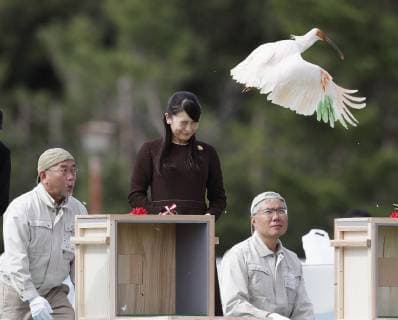 Entertainment Bilder der Woche KW42 Entertainment Bilder des Tages Princess Mako in Sado Princess Mako, the eldest granddaughter of Emperor Akihito and Empress Michiko, releases a crested ibis during a ceremony in Sado on an island in the Sea of Japan, Niigata Prefecture, on Oct. 15, 2018. 