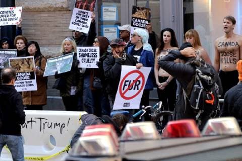 October 18, 2018 - New York City, New York, US - American animal rights organization, People for the Ethical Treatment of Animals (PETA) staged a protest action outside of Canada GooseÃ¢â‚¬â ¢s SOHO store on 18th. October 2018, highlighting the use of animal fur in the outer winter-wear company product line. New York City US - ZUMAl135 20181018_zap_l135_006 Copyright: xG.xRonaldxLopezx