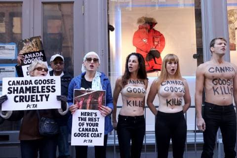 October 18, 2018 - New York City, New York, US - American animal rights organization, People for the Ethical Treatment of Animals (PETA) staged a protest action outside of Canada GooseÃ¢â‚¬â ¢s SOHO store on 18th. October 2018, highlighting the use of animal fur in the outer winter-wear company product line. New York City US - ZUMAl135 20181018_zap_l135_011 Copyright: xG.xRonaldxLopezx