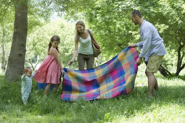 Family preparing for picnic in meadow  Copyright: EricxAudras B96351814