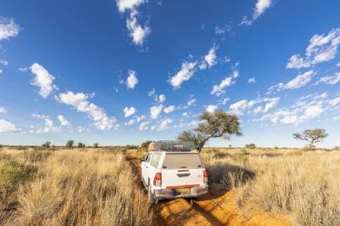 Africa, Botswana, Kgalagadi Transfrontier Park, Mabuasehube Game Reserve, off-road vehicle on sand track  FOF10207
