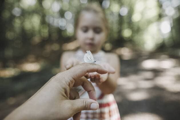 Butterfly on woman s finger model released Symbolfoto  KMKF00462