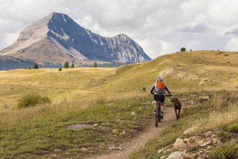 a Woman and her dog mountain biking the Molas Pass section of the Colorado Trail with Engineer Mountain in the background, San Juan National Forest, Silverton, Colorado., Silverton Colorado USA model released Symbolfoto Copyright: KennanxHarvey HAKE000590